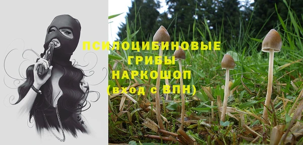 mdpv Покачи