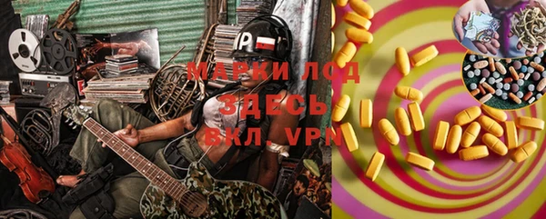 шишки Белокуриха