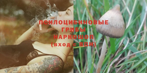 шишки Белокуриха