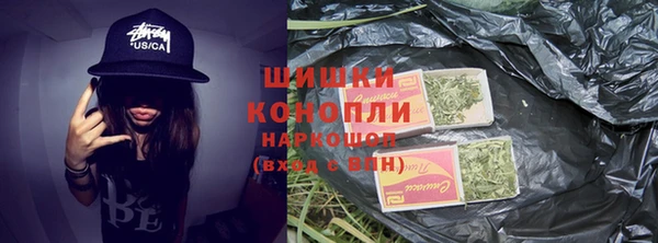шишки Белокуриха