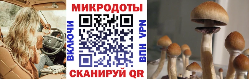 цены   ОМГ ОМГ онион  Псилоцибиновые грибы Psilocybe  Стрежевой 